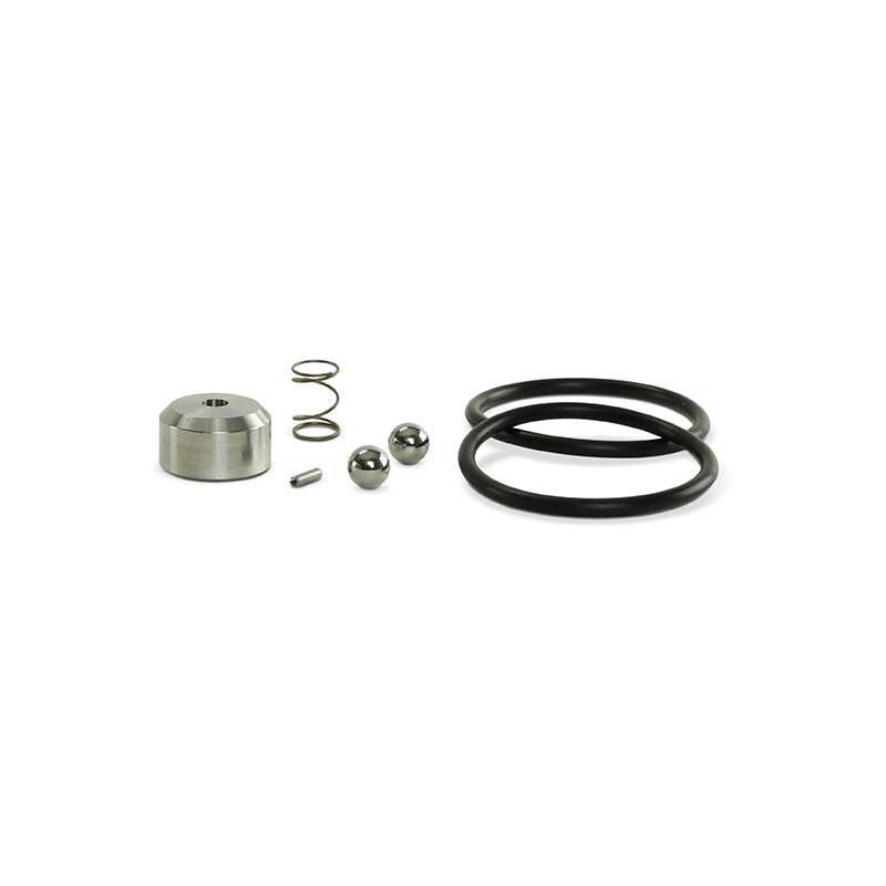 Check Valve Repair Kit