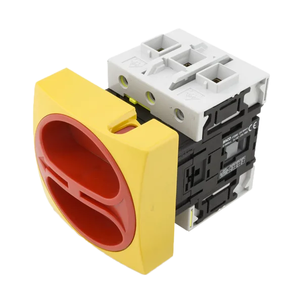 Disconnect Switch 100A