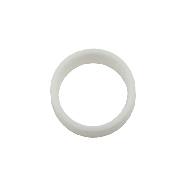 Check Valve Inlet Ring Seal